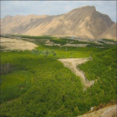 شناسایی 22 مورد تخریب و تصرف اراضی ملی در قروه